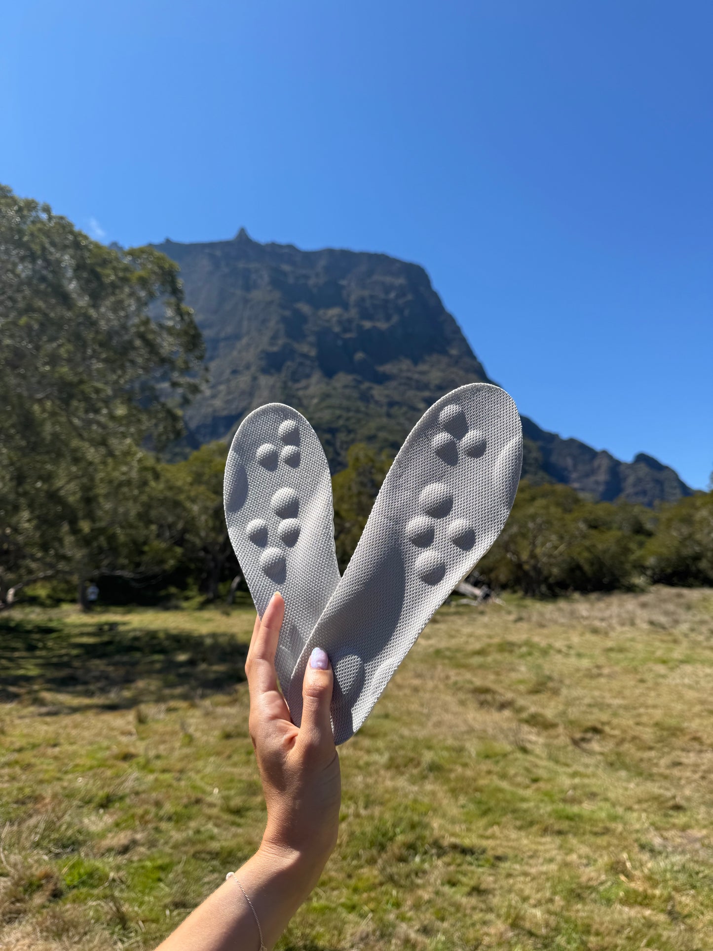 Plantilla Ti Pied Nature