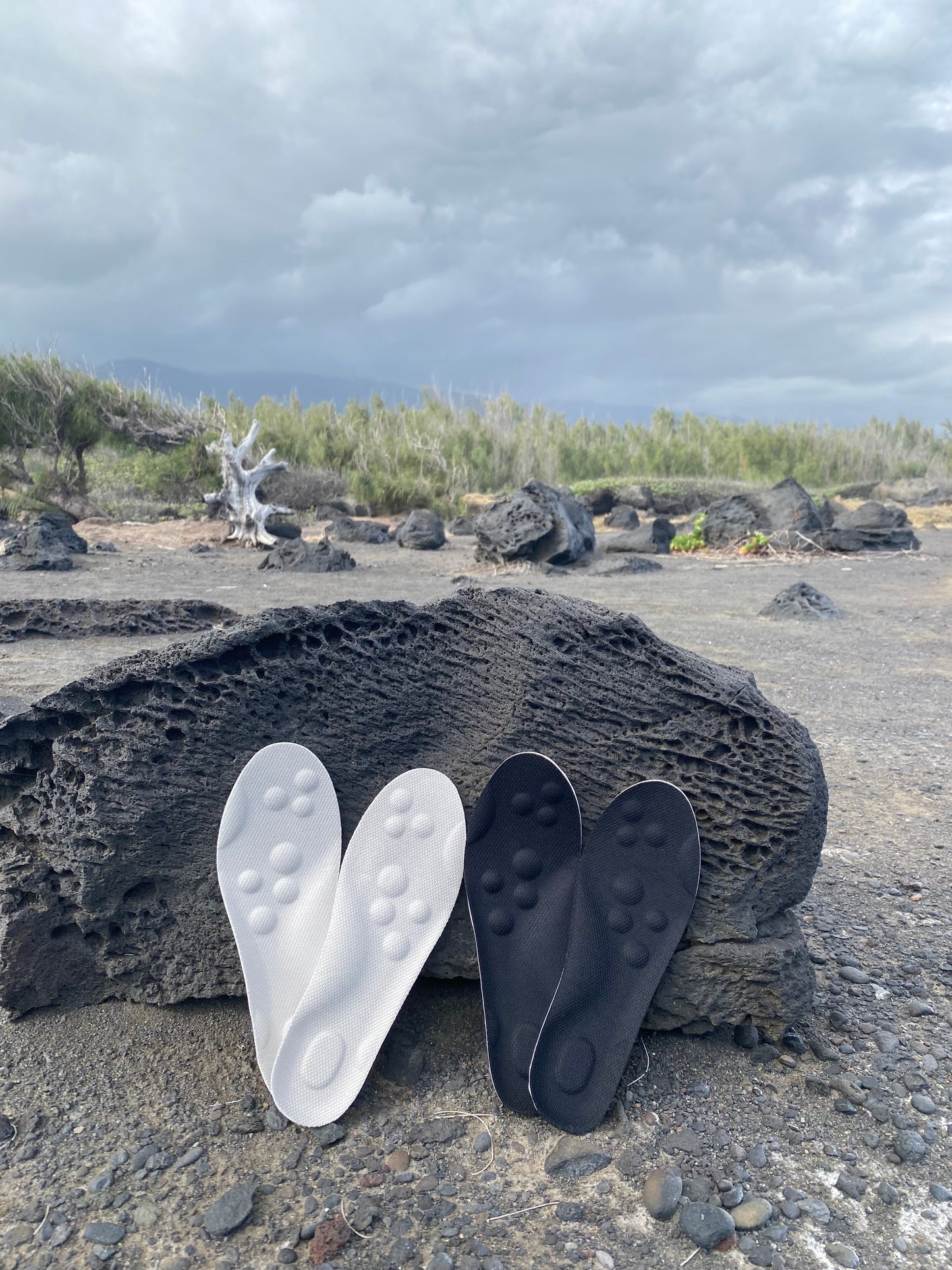 Ti Pied Nature Insole